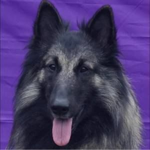 Meet your Posher, Gina